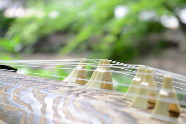 �uⵁv�̉��Ɏ��𐟂܂���@1/11�y11:00�̉�z